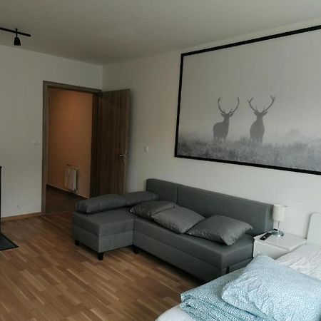 Brand New Studio Apartment #71 With Free Secure Parking In The Center Prag Exteriör bild