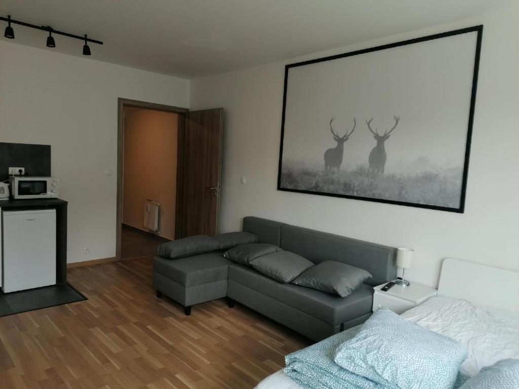 Brand New Studio Apartment #71 With Free Secure Parking In The Center Prag Exteriör bild